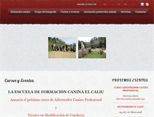 Tablet Screenshot of elcaliu.es